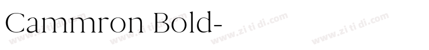 Cammron Bold字体转换